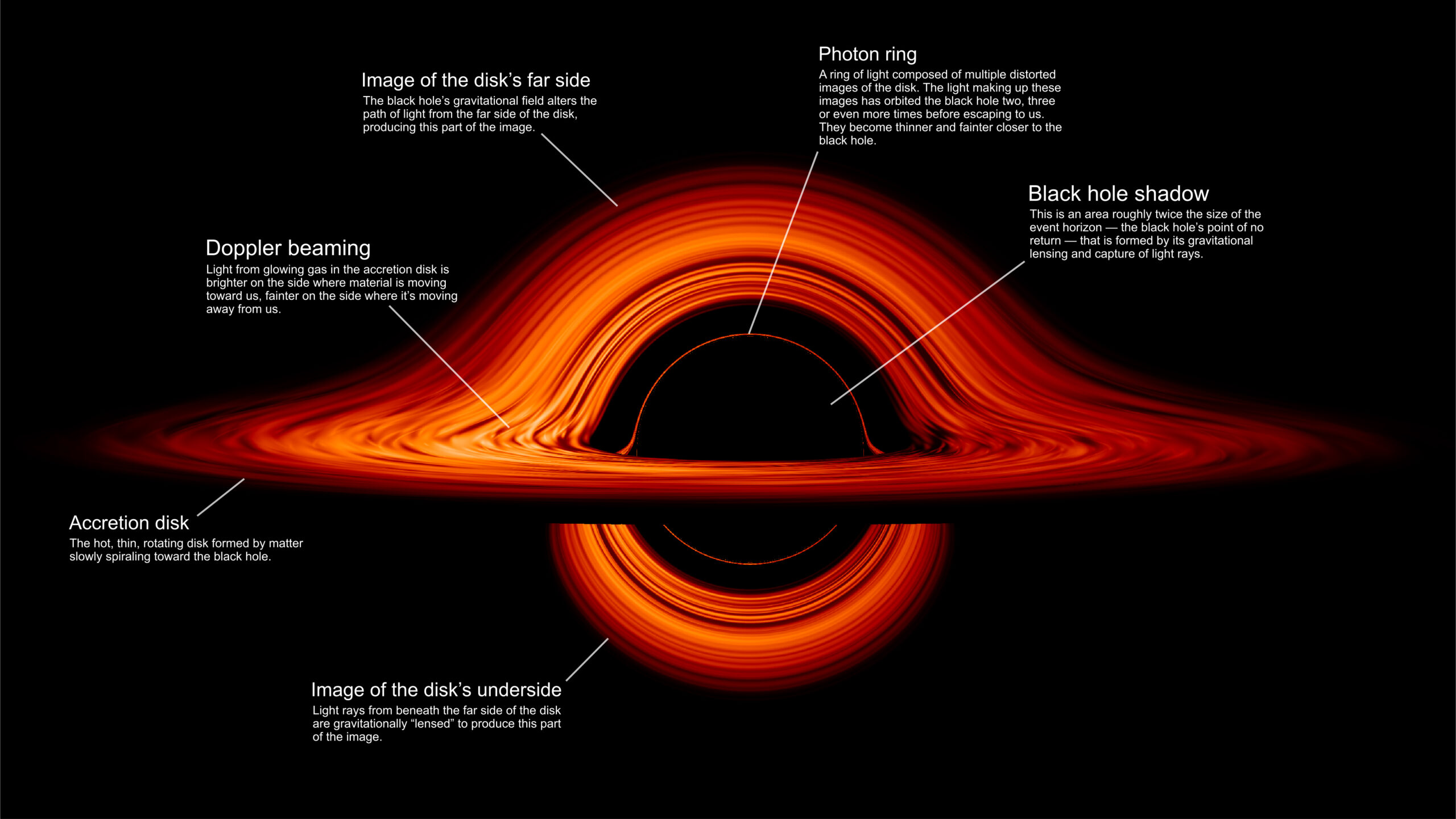 Buchi bianchi, dati e ricerca scientifica. Parla Carlo Rovelli  #ungraficoeunlibro - Info Data